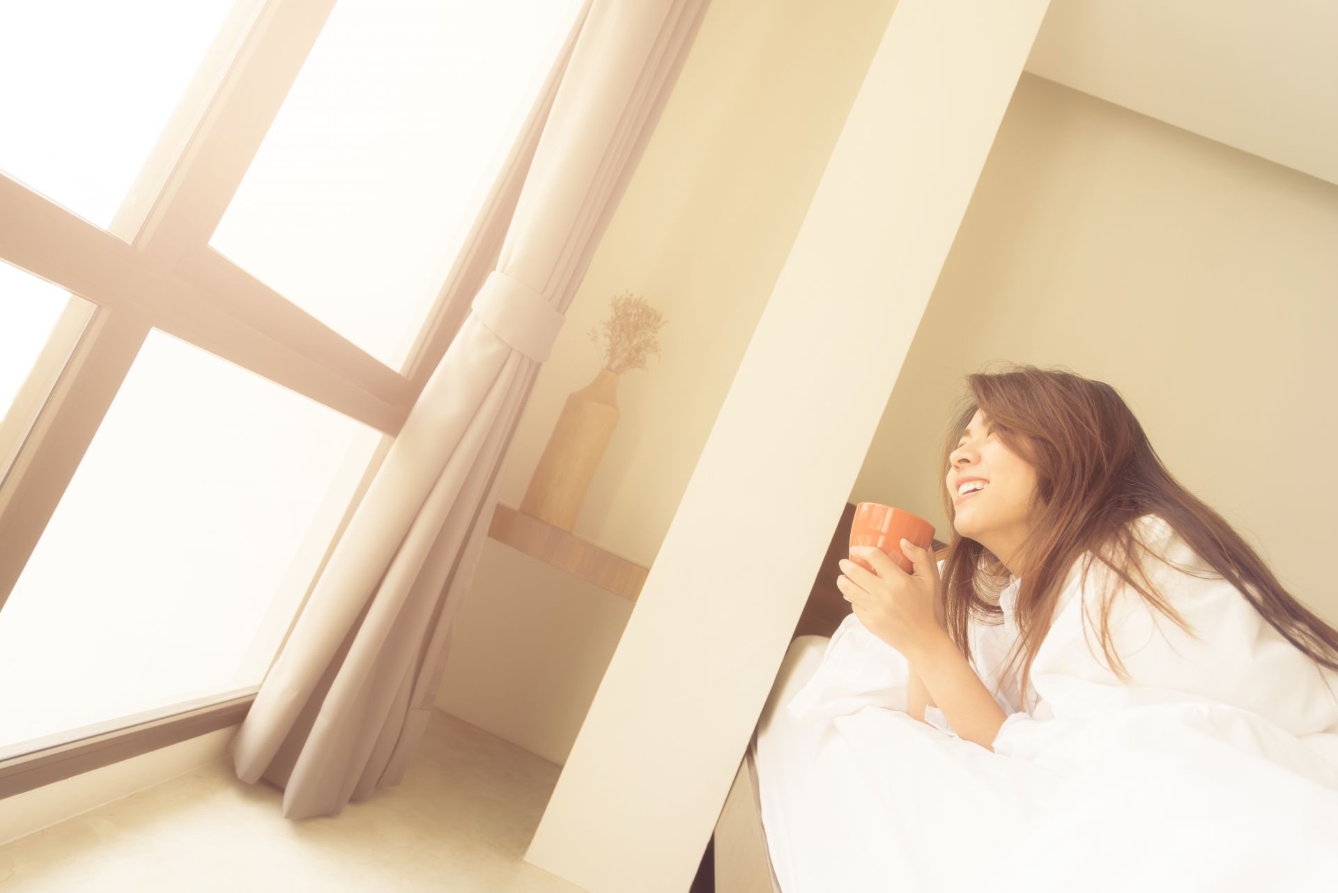 花博賞花走春去 台中住宿